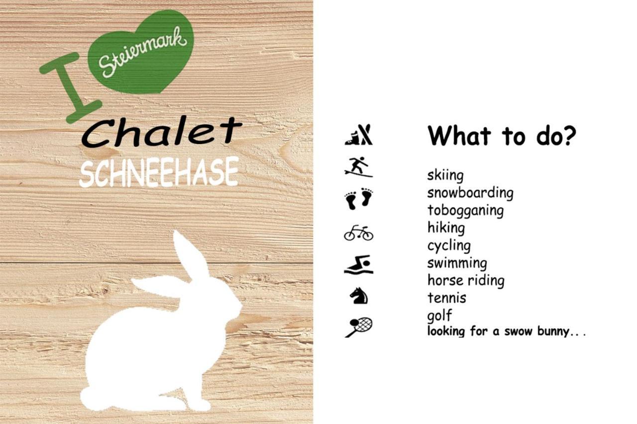 Chalet ?Snow Bunny? Stadl an der Mur Bagian luar foto