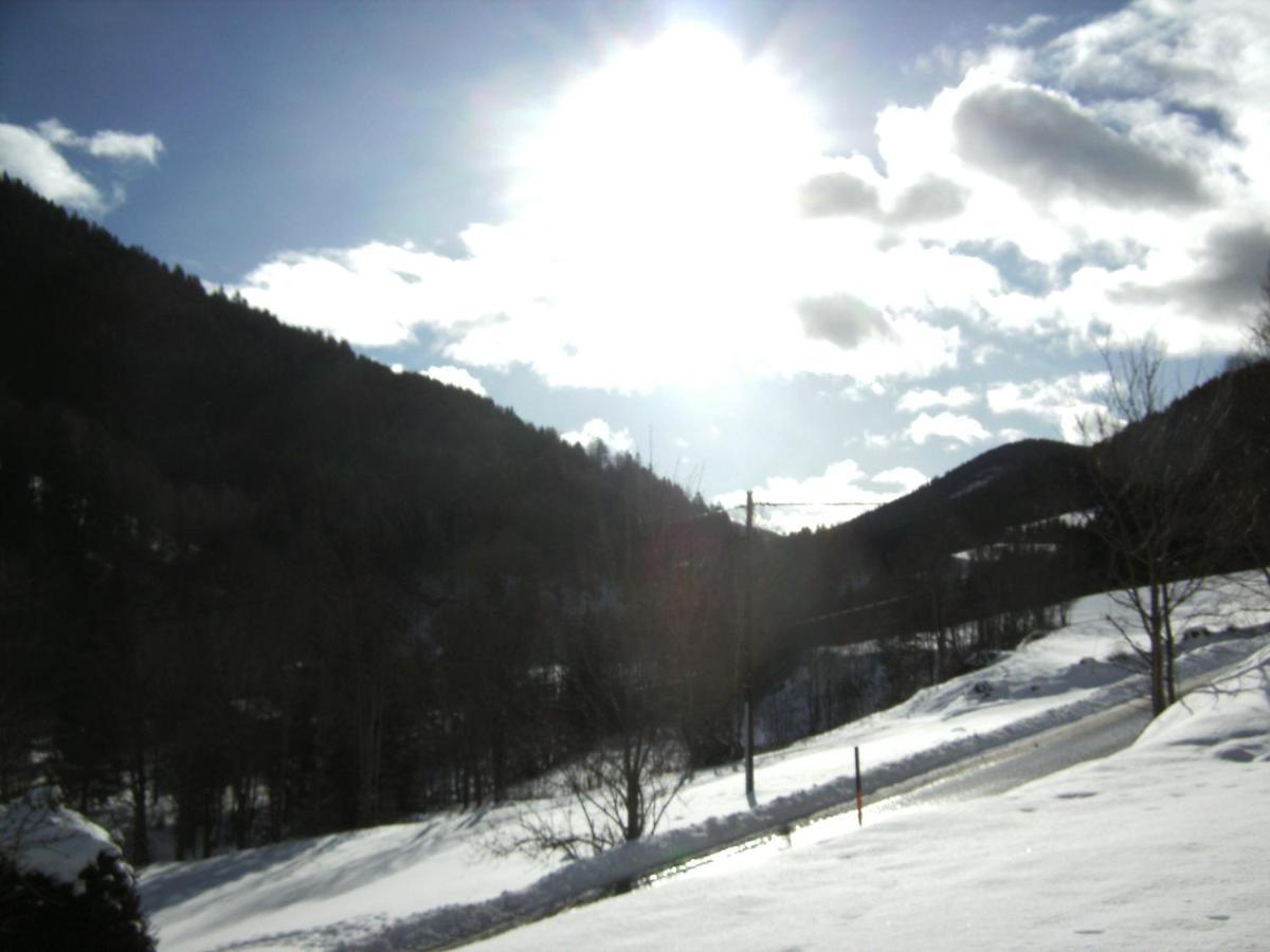 Chalet ?Snow Bunny? Stadl an der Mur Bagian luar foto
